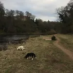 Ghyllie * Wetheral